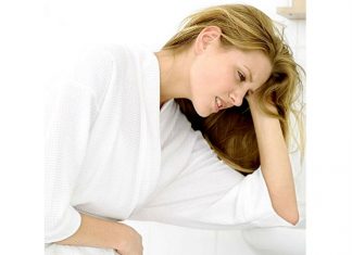 15 razones para incluir la planta de alcachofa en tu dieta