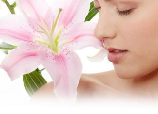 Relájate con las bondades que te ofrece un SPA