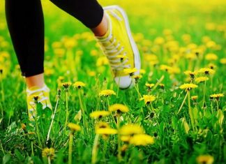 ¿Correr o caminar? Conoce 5 motivos para escoger la mejor alternativa