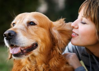 Las mascotas más tiernas que te darán alegría diaria