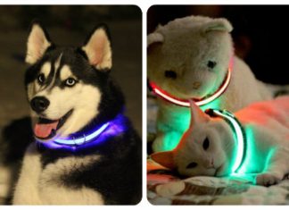 Aprende cómo cuidar mejor a tus mascotas: nuevos gadgets para los engreidos de la casa