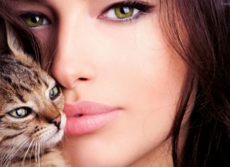 Los gatos son más afines y manipuladores con las mujeres que con los hombres Los gatos son más afines y manipuladores con las mujeres que con los hombres