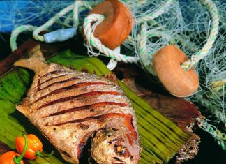 Conoce qué pescados no puedes consumir si quieres concebir o pasas por un embarazo Conoce qué pescados no puedes consumir si quieres concebir o pasas por un embarazo