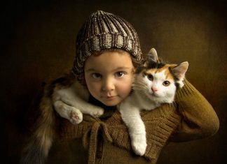 Nombres para gatos y gatas: Las mejores alternativas para tu minino Nombres para gatos y gatas: Las mejores alternativas para tu minino