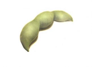 Los 10 colores Pantone para la temporada primavera 2014