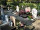 Conoce las mejores historias del cementerio de mascotas más antiguo del mundo Conoce las mejores historias del cementerio de mascotas