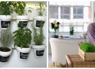 Aprende a cultivar alimentos en tu propio hogar