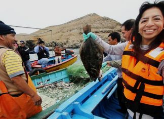 Tips importantes para comer pescado y reducir la obesidad de manera saludable