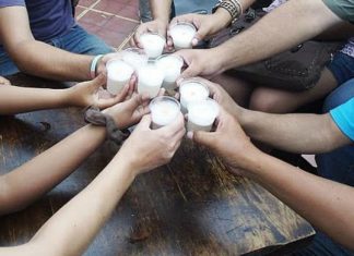 No te pierdas la celebración por el Día del Pisco Sour en Plaza Norte