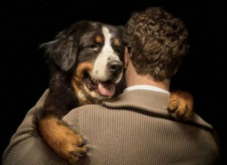 Se aprobó ley que penalizará el maltrato animal