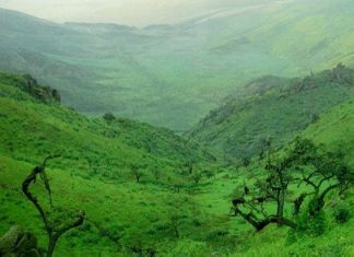 La Carrera Nat Geo registra más de 2 mil inscritos en solo dos semanas