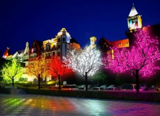 ¿Árboles que brillan naturalmente para ahorrar energía?