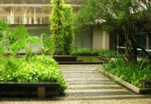 Descubre el paisajismo, la nueva propuesta de decoración para interiores y exteriores