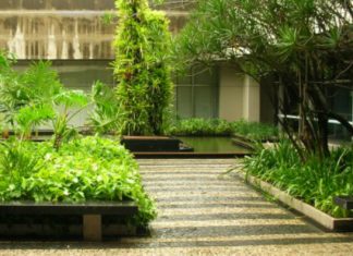 Descubre el paisajismo, la nueva propuesta de decoración para interiores y exteriores