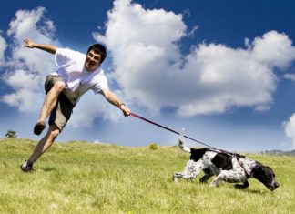 ¿Sabías que el entrenamiento negativo en los perros puede causar estrés y debilita el vínculo con el dueño?